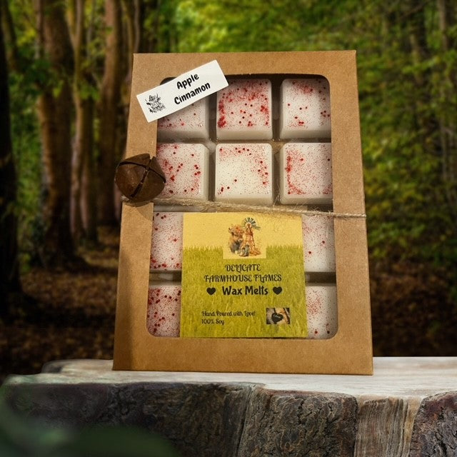 Wax Melts 12pk & Shapes image 0